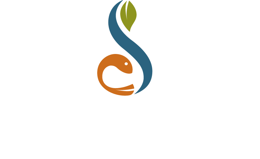 Streamsong Logo